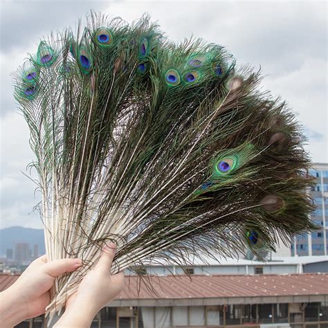 10 Pcs Lot Natural Big Eye Peacock Feathers 25 30CM Long For Crafts