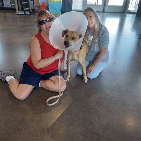 Waco Pets Alive!: KONG Toys Grant Report - Petfinder Foundation