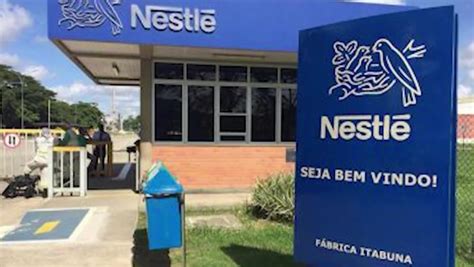 Nestl Compra Puravida Empresa De Alimentos E Suplementos Naturais