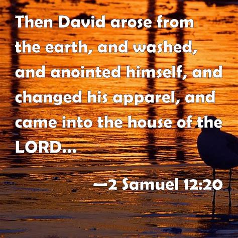 2 Samuel 12:20 Then David arose from the earth, and washed, and ...