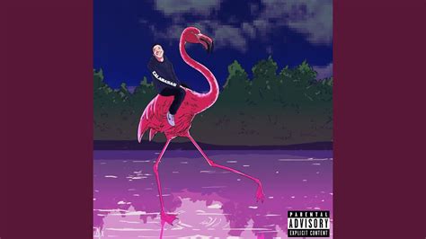 Flamingo Youtube