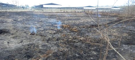 Pobladores De Santa Mar A Ch Exigen Reubicaci N De Granja De Cerdos