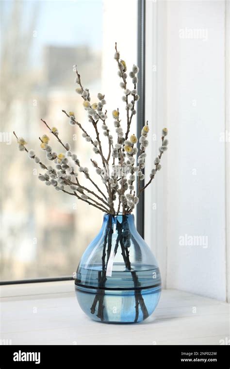 Beautiful Pussy Willow Branches In Vase On Window Sill Stock Photo Alamy