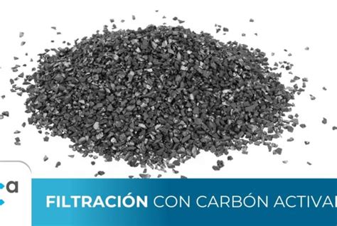 El Carb N Activado Sirve Para Bajar De Peso Carbotecnia