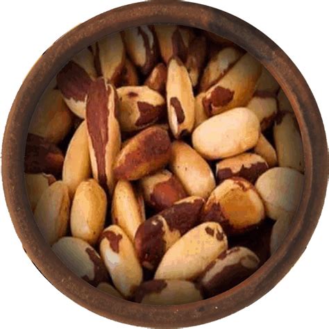 Bulk Brazil Nuts | Wholesale Brazil Nuts With Cheap Shipping