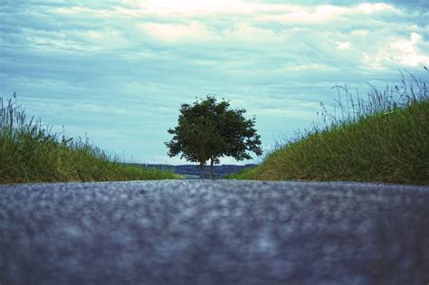 Free Images Landscape Water Nature Grass Horizon Mountain Cloud