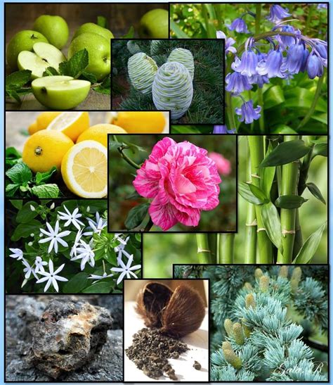 Магазин "Белая орхидея" Парфюмерия,косметика. | ВКонтакте