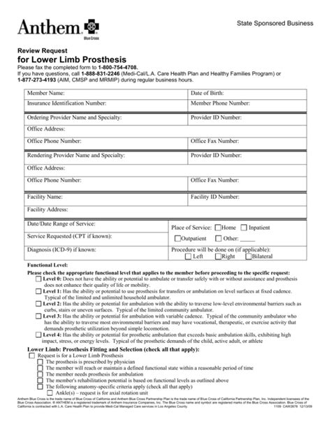 Lower Limb Prosthesis