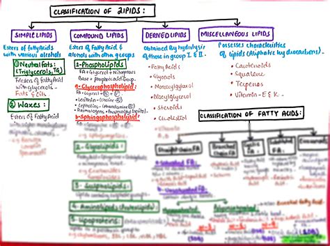 Solution Classification Of Lipids Biochemistry Notes Studypool