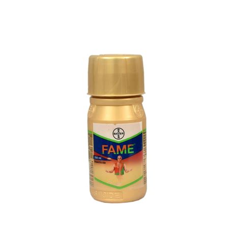 Fame