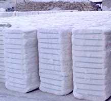 Raw Cotton Bales at best price in Bhavnagar by Tulsi Trading Co. | ID ...