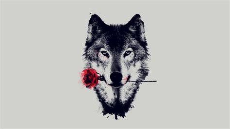 Wolf Art HD Wallpapers on WallpaperDog