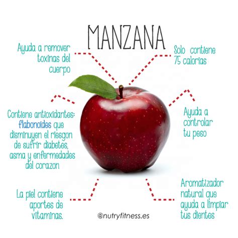 Lista Foto Que Contiene La Semilla De La Manzana Actualizar