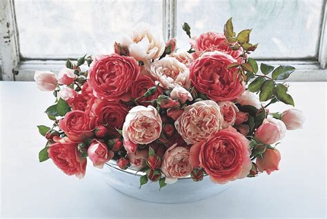 English Roses and Growing English Garden Roses - Flower Magazine