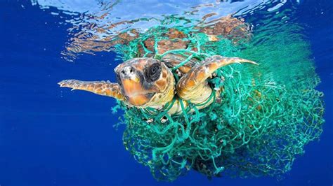 Cada año se arrojan al océano entre 5 y 13 millones de toneladas de