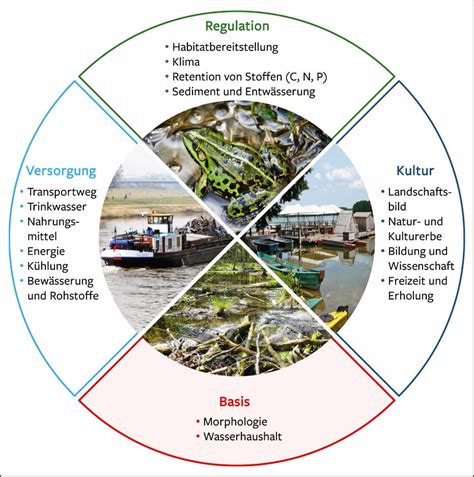 Der gute ökologische Zustand von Gewässern Naturschutz und