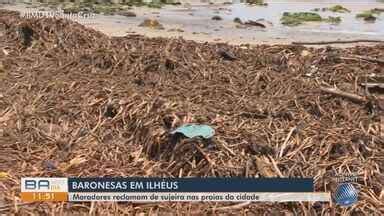 Bahia Meio Dia Itabuna Moradores De Ilheus Reclamam De Sujeira Nas