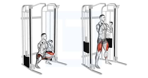 Cable Front Squat Guide Benefits And Form