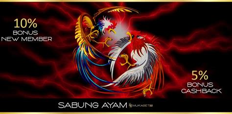 Logo Ayam Petarung Thailand 57 Koleksi Gambar