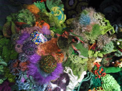 Art Matters The Hyperbolic Crochet Coral Reef On Display At The