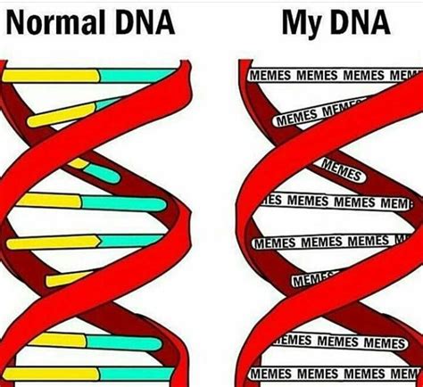 It's in all of our DNA : r/memes 