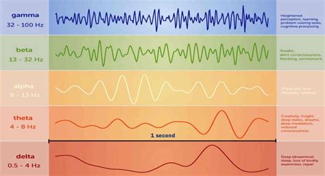 Neurofeedback Therapy Training Rewires The Brain For Health