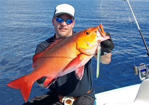 Red Snapper Season Everything You Need To Know