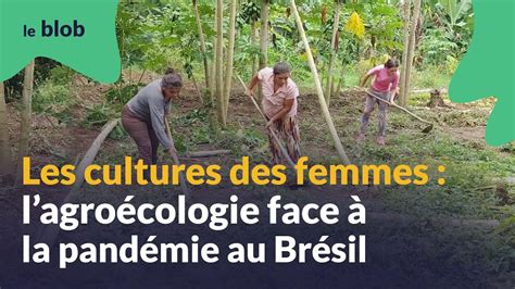 Crise Sanitaire Des Femmes Engag Es Dans Lagro Cologie Au Br Sil