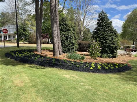 Shrub & Tree Planting Fayetteville GA | Expert Installers