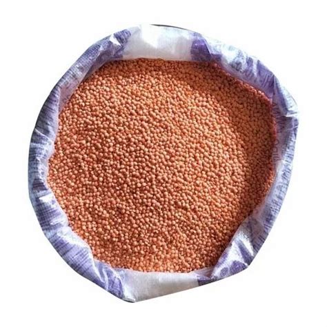 Red Masoor Dal Maharashtra High In Protein At Rs Kg In Gurugram