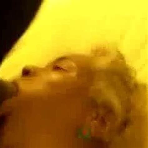 Grandmother Free Grandmother Xxx Porn Video A2 XHamster XHamster