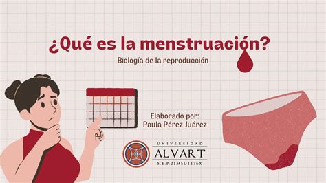 Qu Es La Menstruaci N Pau Udocz