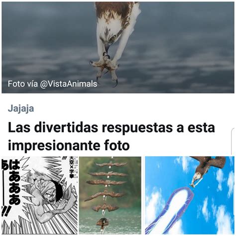 El T Tulo Se Fue Volando Meme Subido Por Xd Memedroid