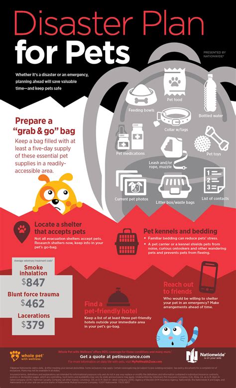 Disaster Plan For Pets Infographic Pet Health Insurance And Tips