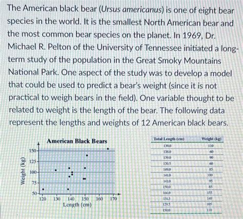 Solved Please Help The American Black Bear Ursus America