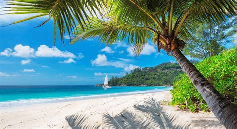 tanzania zanzibar beach wallpaper wallpaperscom