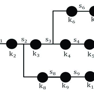 Multi-branch distribution network model. | Download Scientific Diagram