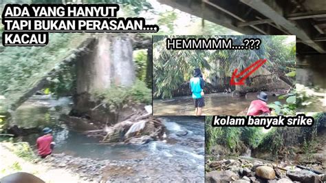 KOLAM PENUH KEJUTAN IKAN YouTube