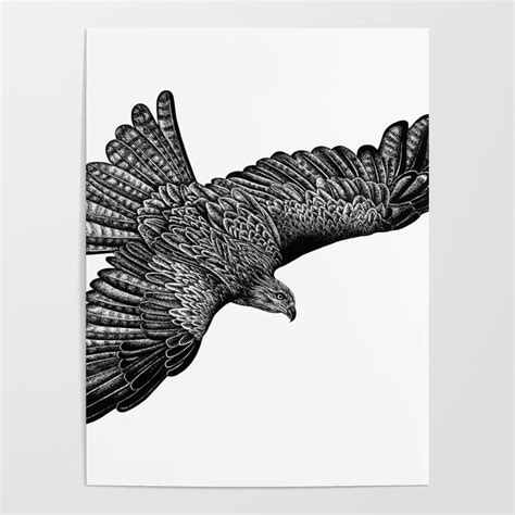 Black kite - bird of prey - ink illustration Poster by Loren Dowding ...