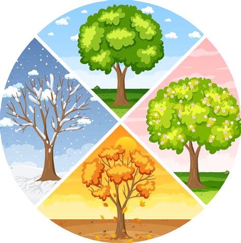 Set Of Four Seasons Backgrounds Vector Art At Vecteezy