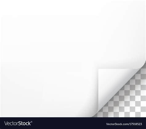 Page Curl With Shadow On Blank Sheet Paper Vector Image