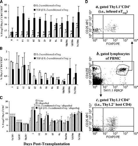 High Level Intracellular Foxp3 Expression Of Alloag Enriched