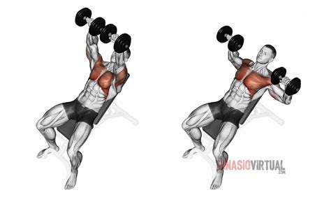 8 Chest Exercises With Dumbbells Ginasiovirtual