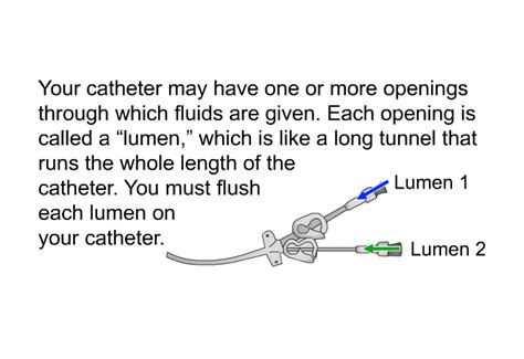 Patedu Catheter Line Care At Home