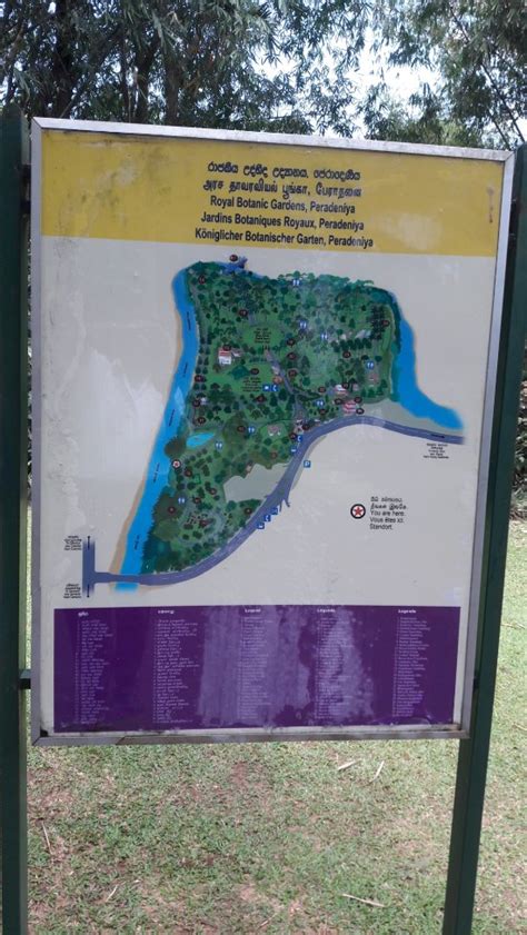 Peradeniya Botanical Garden Map | Fasci Garden