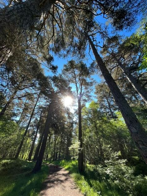 Guided Women’s Hiking Tour, Cairngorms, Scotland | 57hours