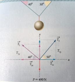 Un Cuerpo Tiene Un Peso Cuya Magnitud Es De N Y Se Encuentra