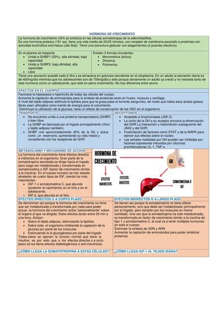 Hormona De Crecimiento Giovany Adolfo Rodriguez Galvan Udocz