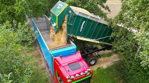 Maisernte 2023 Maishäckseln und Überladen auf LKWs mit Bollmer Umwelt