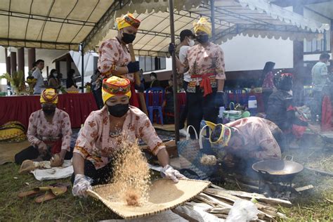 Mangenta Tradisi Turun Temurun Suku Dayak Saat Musim Panen Padi Tiba